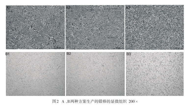 A 、B兩種方案生產(chǎn)的鍛棒的顯微組織